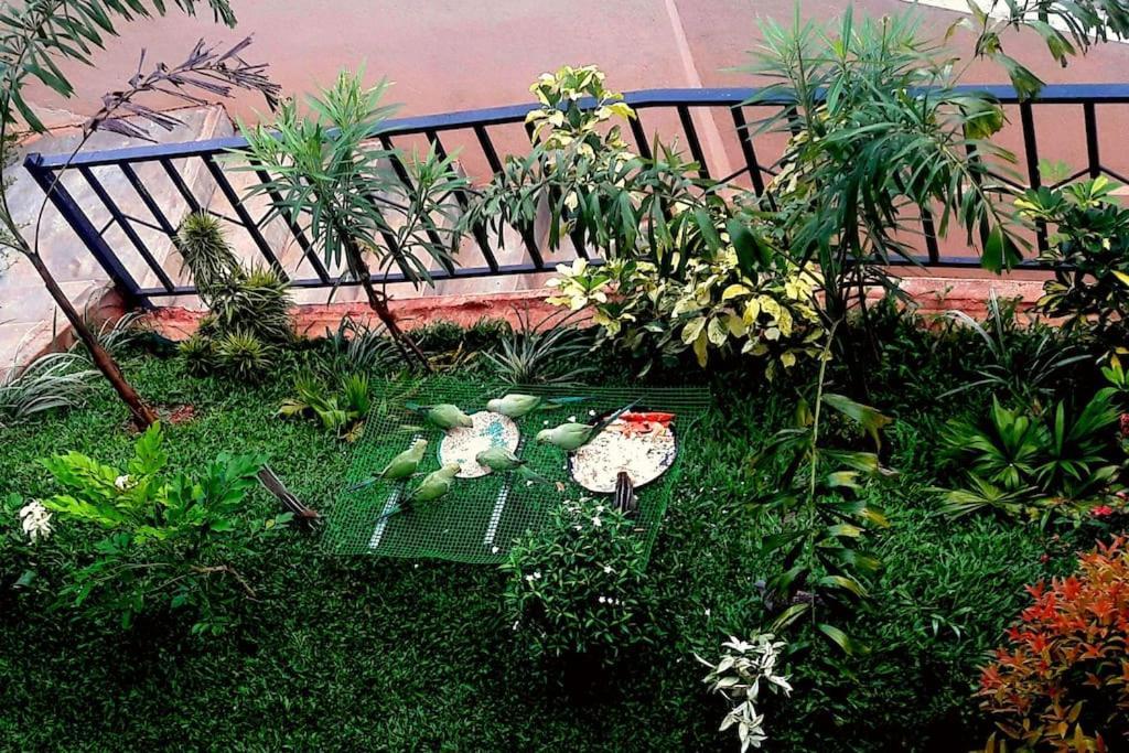 Saru Holiday Apartment - Upto 6 Guests Канди Екстериор снимка